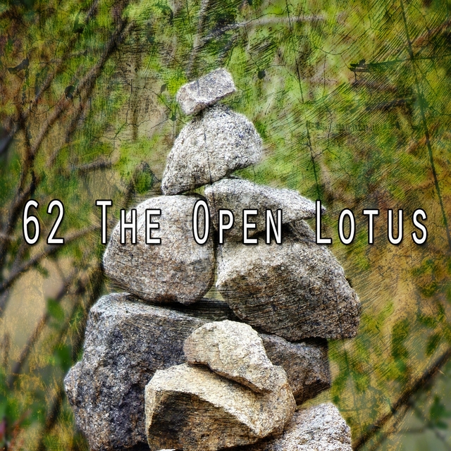 62 The Open Lotus