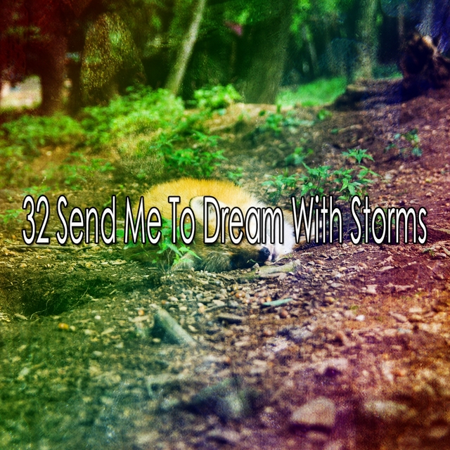 Couverture de 32 Send Me to Dream with Storms