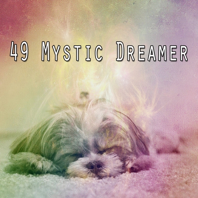 Couverture de 49 Mystic Dreamer