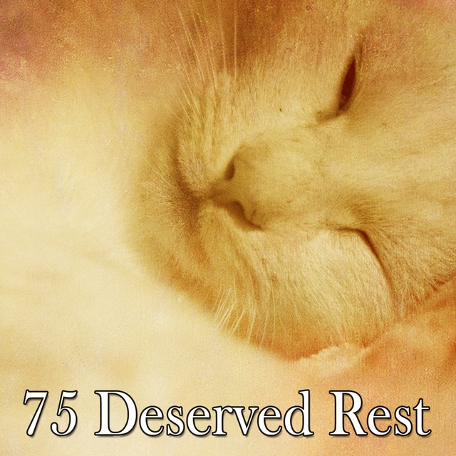 Couverture de 75 Deserved Rest