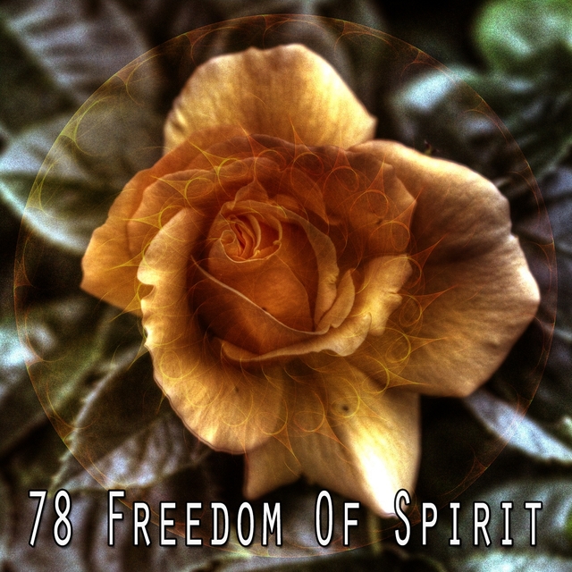 78 Freedom of Spirit