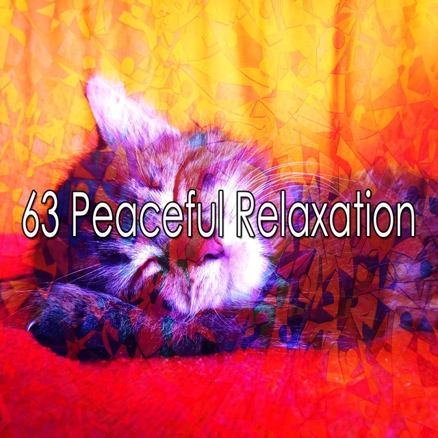 Couverture de 63 Peaceful Relaxation