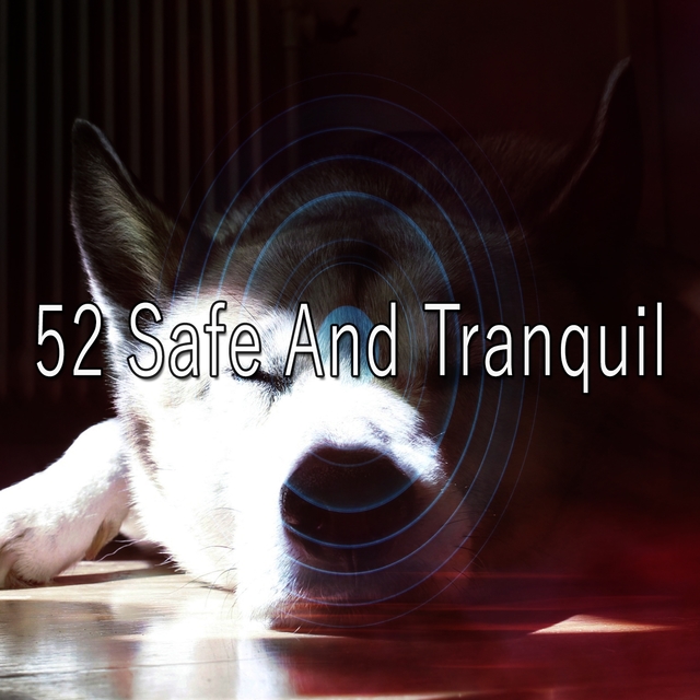 Couverture de 52 Safe and Tranquil