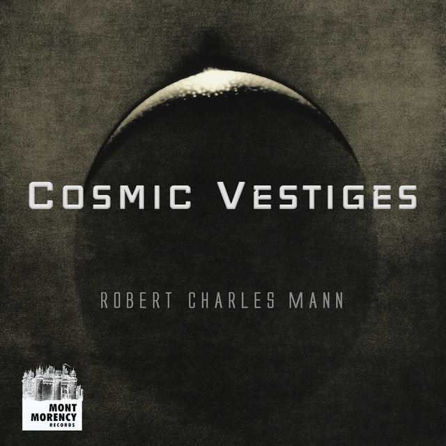 Couverture de Cosmic Vestiges