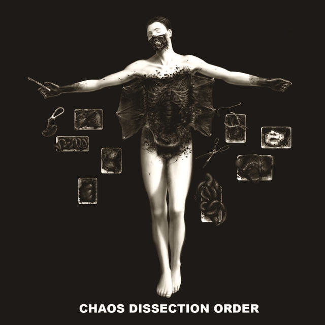 Chaos Dissection Order