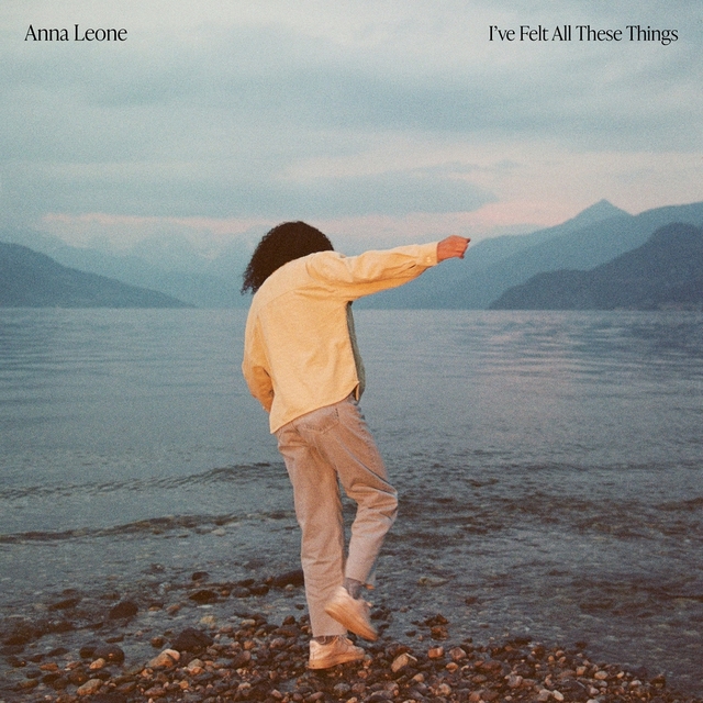 Couverture de I've Felt All These Things