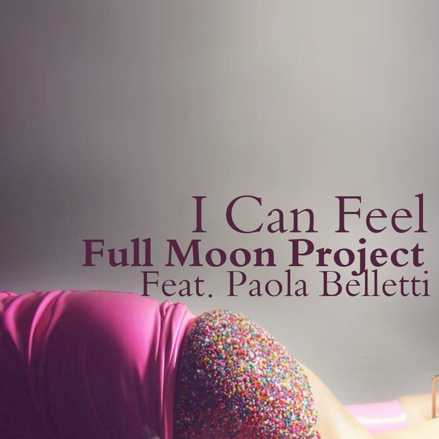 Couverture de I Can Feel