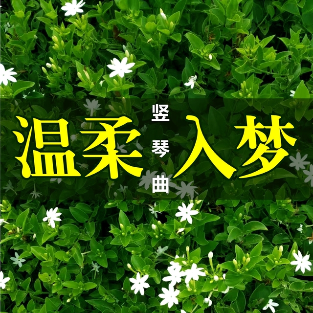 Couverture de 温柔入梦