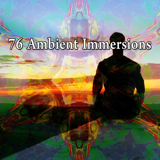 Couverture de 76 Ambient Immersions