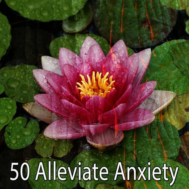 Couverture de 50 Alleviate Anxiety