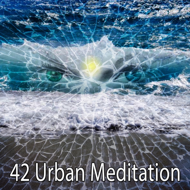 Couverture de 42 Urban Meditation