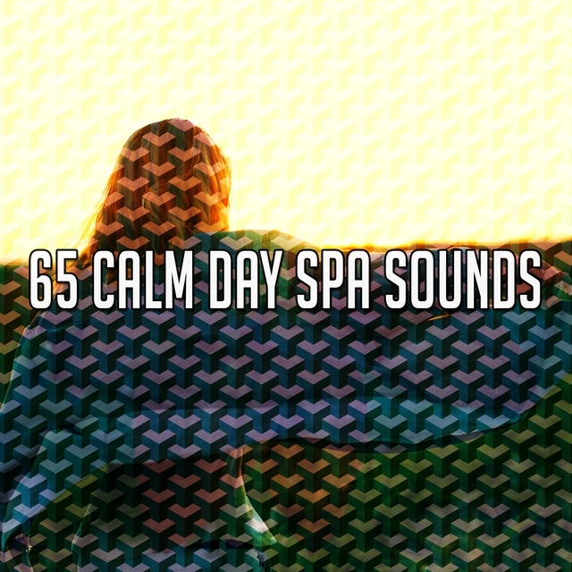 65 Calm Day Spa Sounds