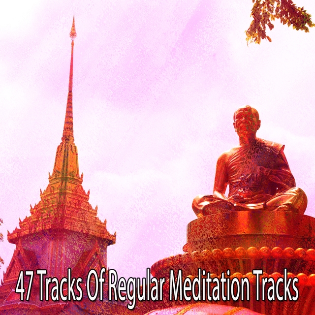 47 Tracks of Regular Meditation Tracks