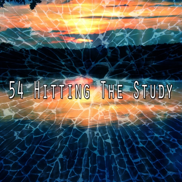 54 Hitting the Study