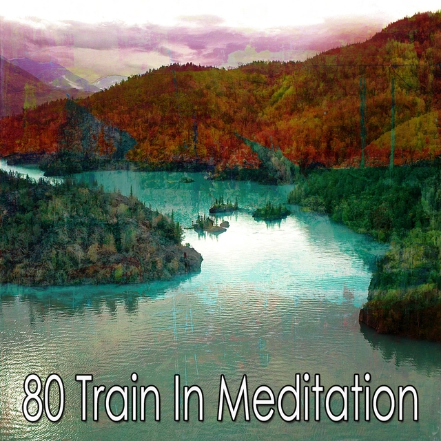 80 Train in Meditation