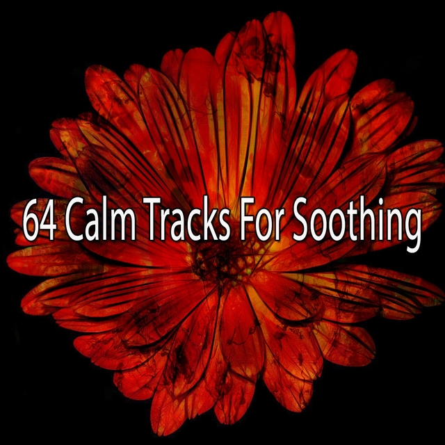 Couverture de 64 Calm Tracks for Soothing