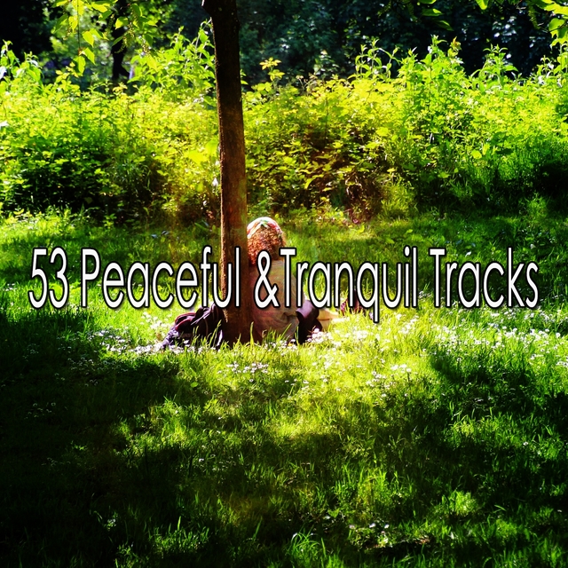 53 Peaceful &Tranquil Tracks