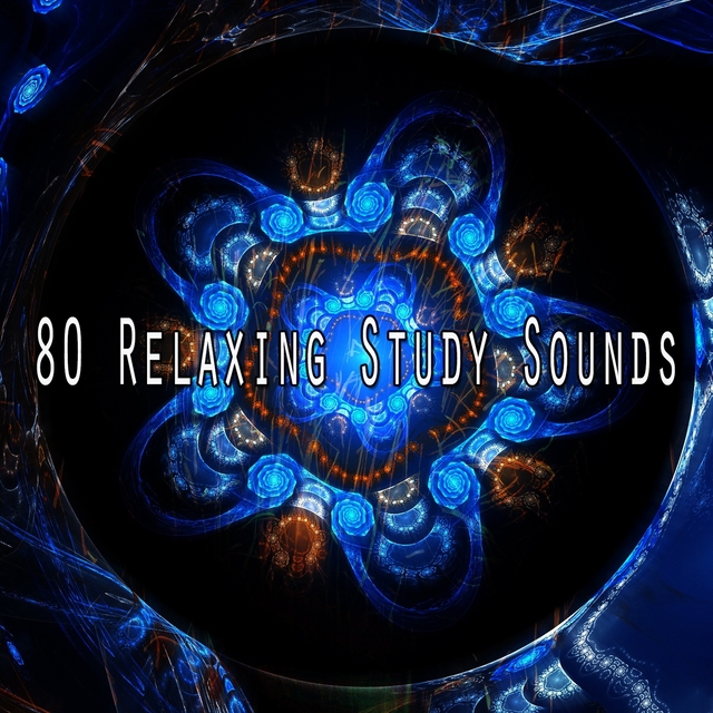 Couverture de 80 Relaxing Study Sounds