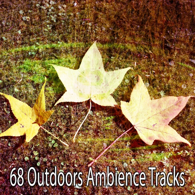68 Outdoors Ambience Tracks