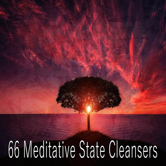 Couverture de 66 Meditative State Cleansers