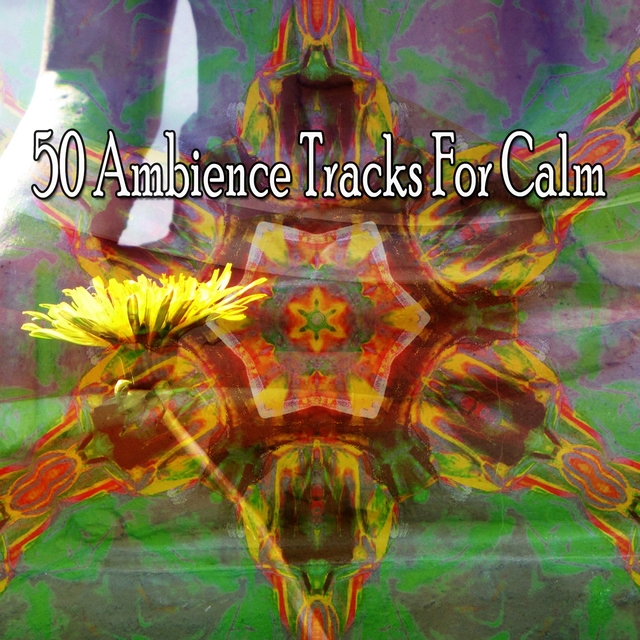 50 Ambience Tracks for Calm