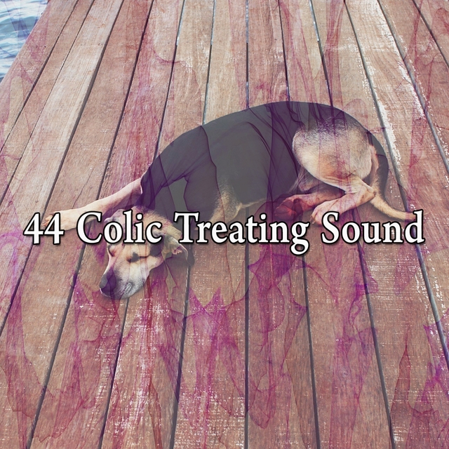 Couverture de 44 Colic Treating Sound