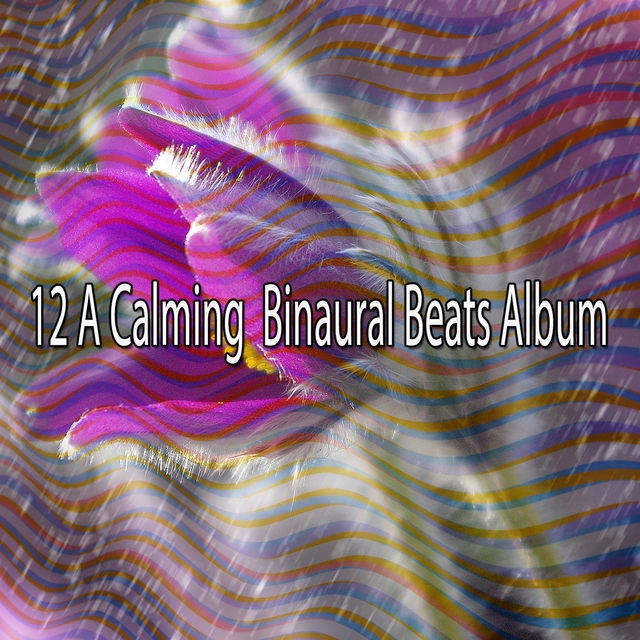 12 A Calming Binaural Beats Album