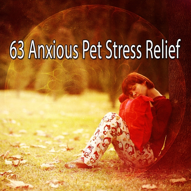 63 Anxious Pet Stress Relief