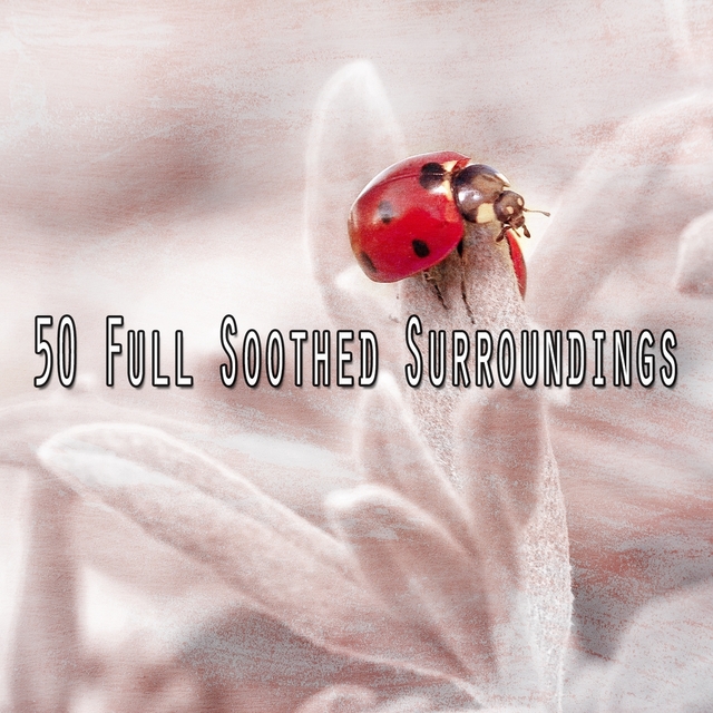 50 Full Soothed Surroundings