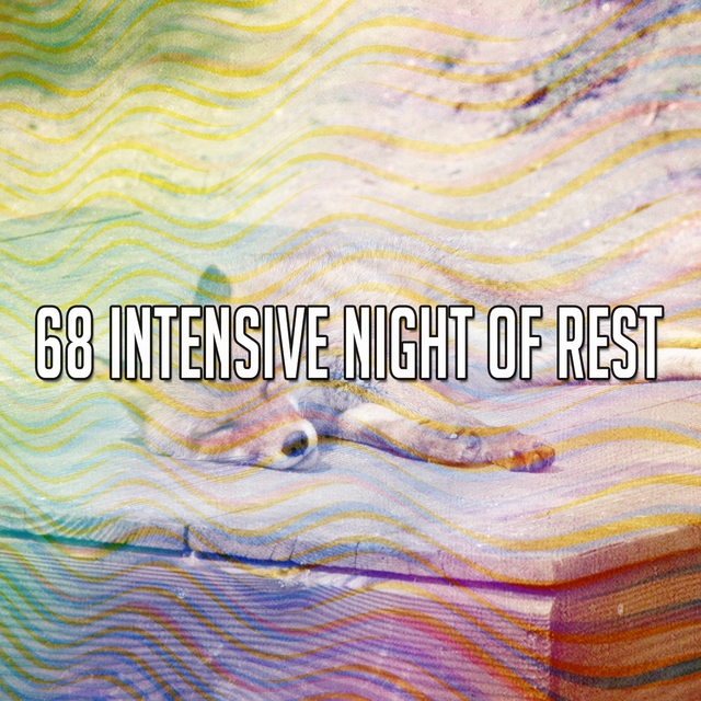 68 Intensive Night of Rest