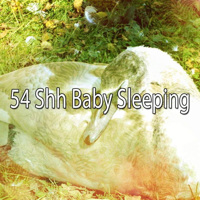 Couverture de 54 Shh Baby Sleeping