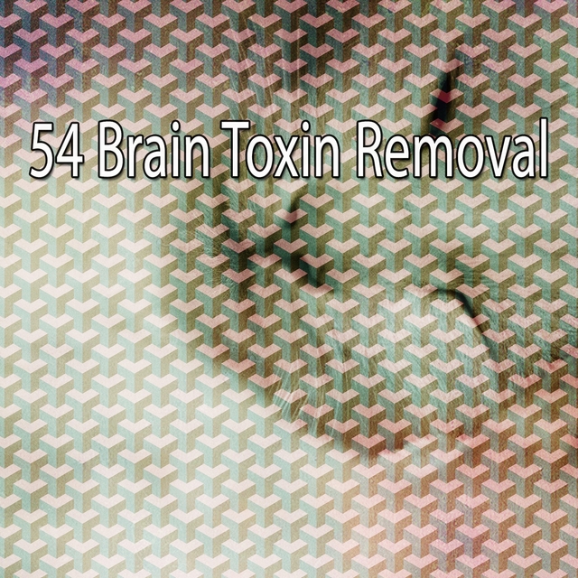 Couverture de 54 Brain Toxin Removal