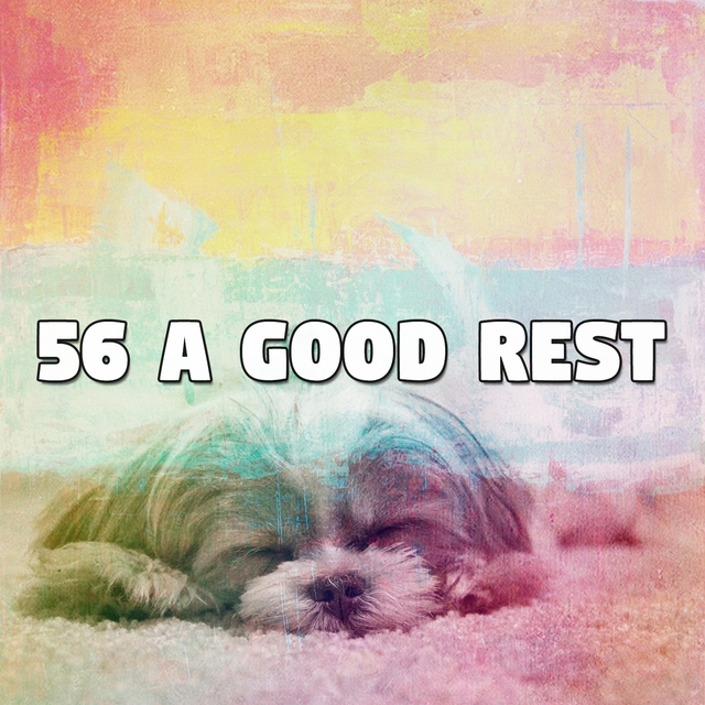 Couverture de 56 A Good Rest