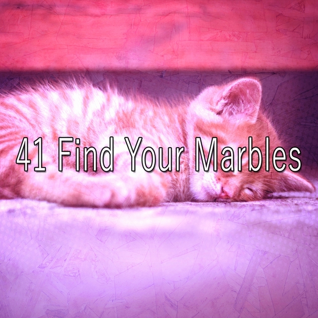 Couverture de 41 Find Your Marbles