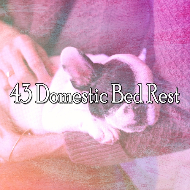 43 Domestic Bed Rest