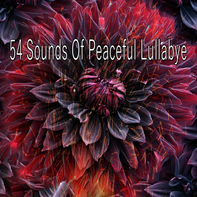 Couverture de 54 Sounds of Peaceful Lullabye