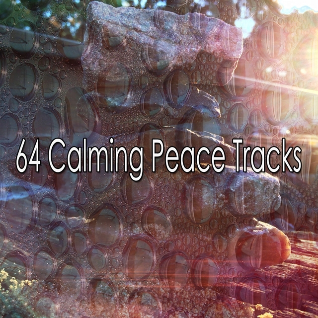 Couverture de 64 Calming Peace Tracks