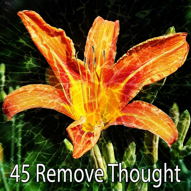 Couverture de 45 Remove Thought