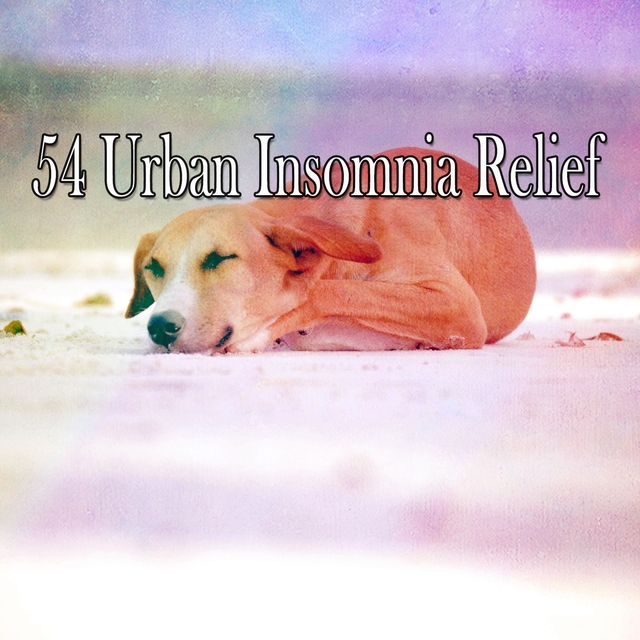 54 Urban Insomnia Relief