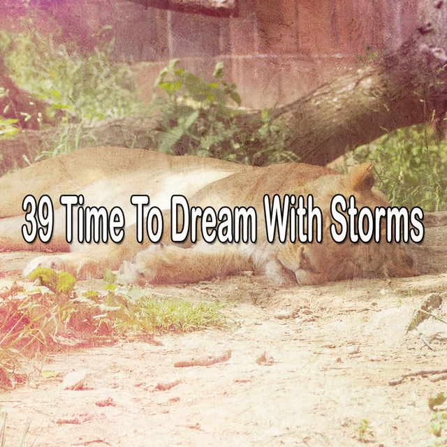 39 Time to Dream with Storms