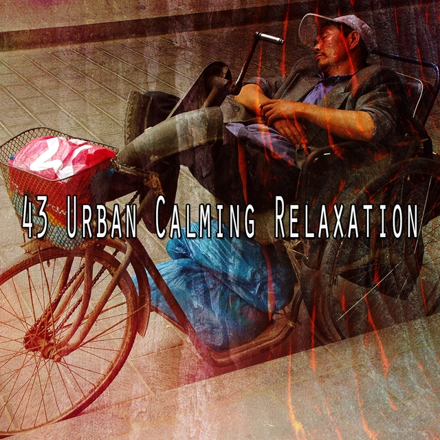 Couverture de 43 Urban Calming Relaxation