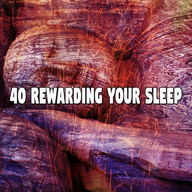 Couverture de 40 Rewarding Your Sle - EP