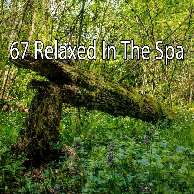 67 Relaxed in the Spa