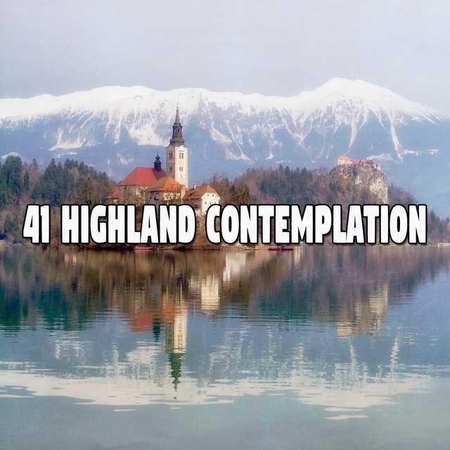 41 Highland Contemplation