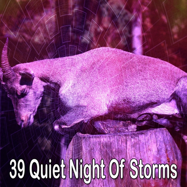 Couverture de 39 Quiet Night of Storms