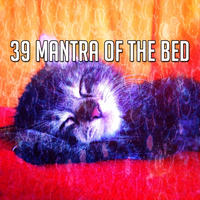 Couverture de 39 Mantra of the Bed