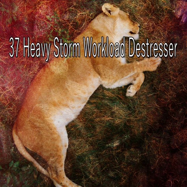 37 Heavy Storm Workload Destresser