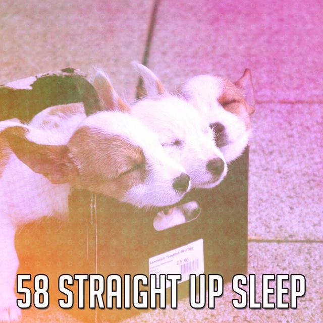 Couverture de 58 Straight up Sle - EP