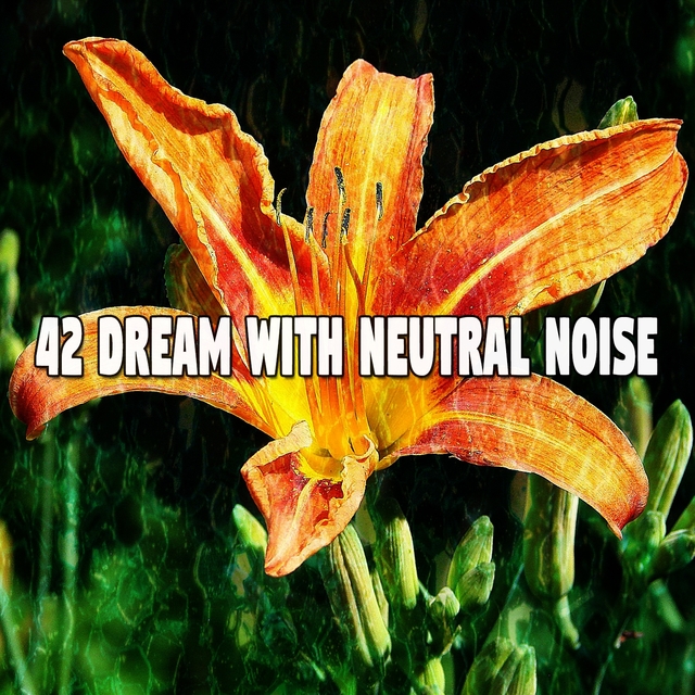 Couverture de 42 Dream with Neutral Noise