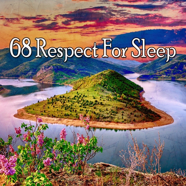 68 Respect for Sle - EP